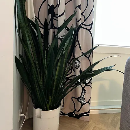 דירה Elegantly Renovated With A Parking Space