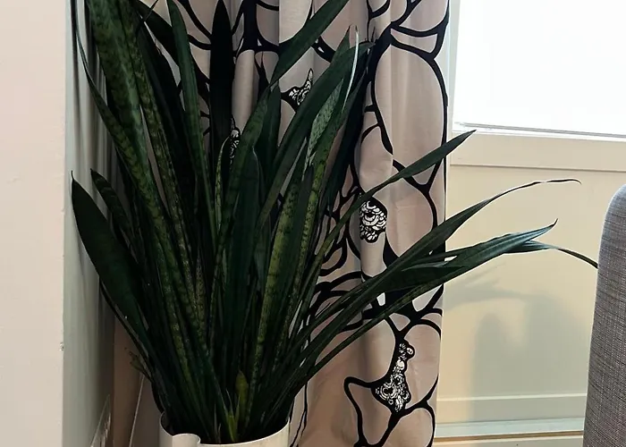 アパート Elegantly Renovated With A Parking Space