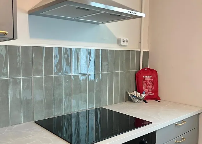 Elegantly Renovated With A Parking Space Appartement